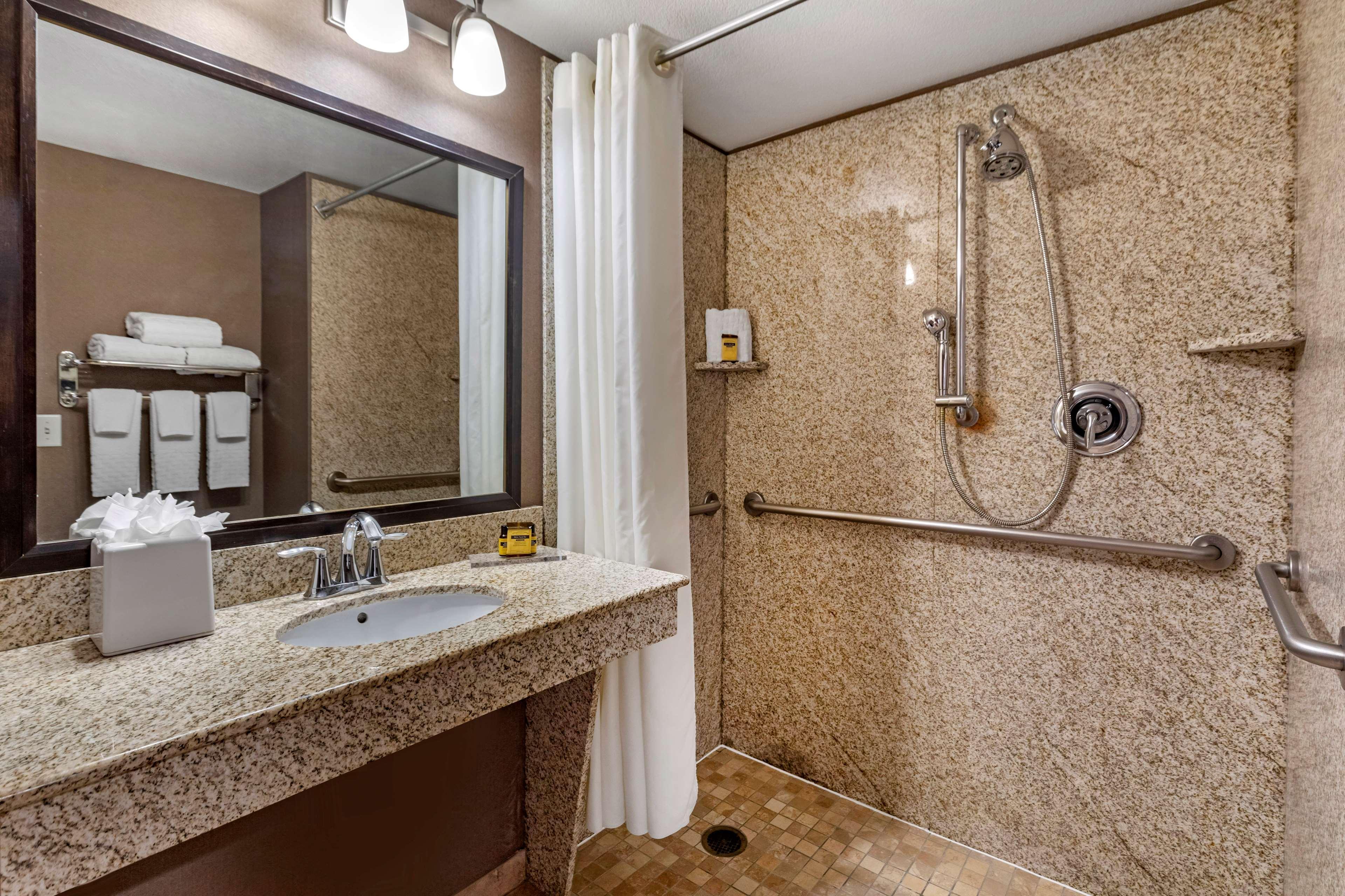 King Room Roll Shower Disability Access or Non-Smoking