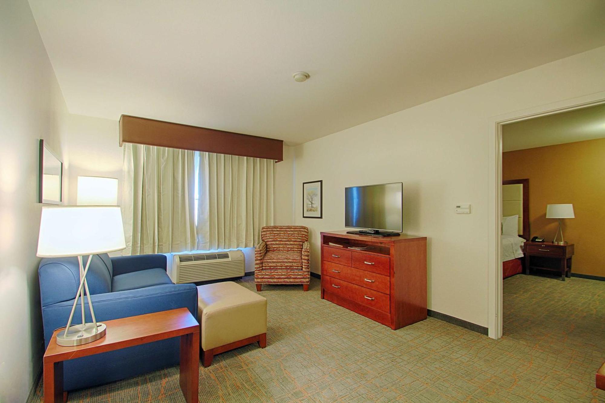 One-Bedroom King Suite Non-Smoking