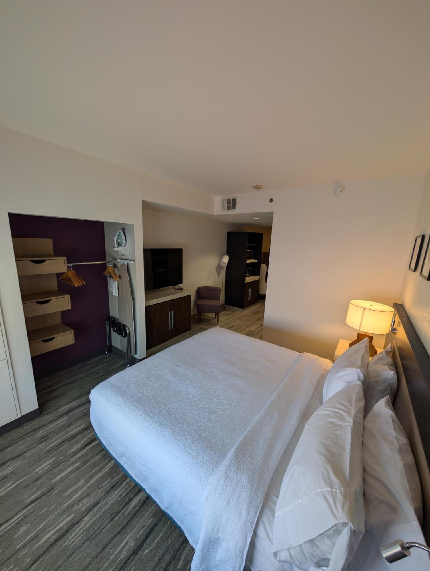 Junior King Suite with Sofa Bed,1730018532:JPEG