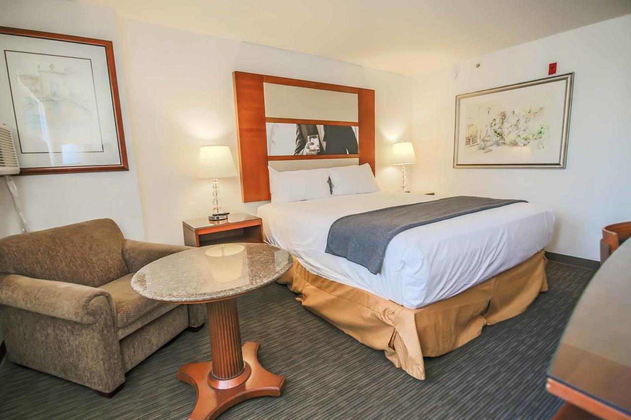 Deluxe King Room,665348190:JPEG