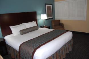 Standard King Room No Resort Fees,1275342094:JPEG