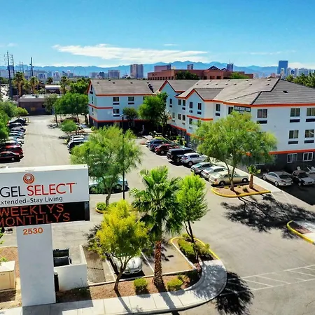 Siegel Select Flamingo-3